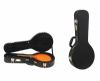 m-c mandolin guitar case